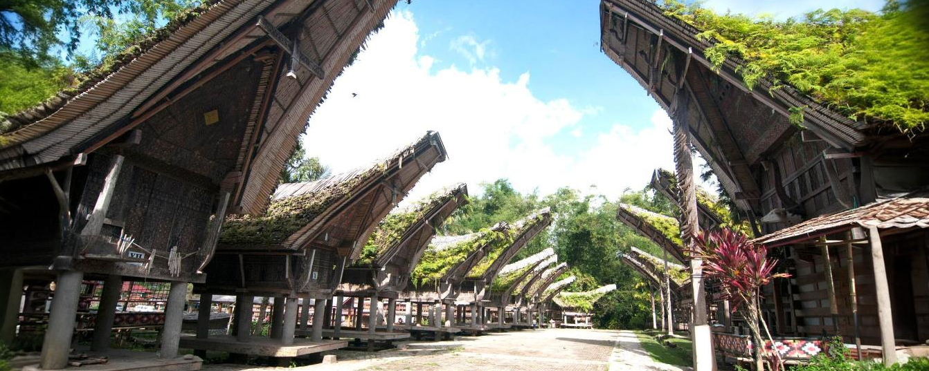 hero image for travel ideas detail