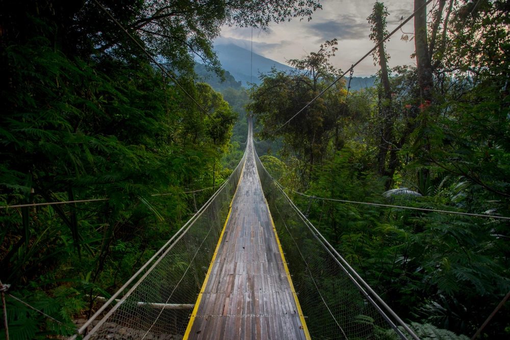 Wisata Sukabumi: Destinasi Wisata Hits dan Kuliner Lezat