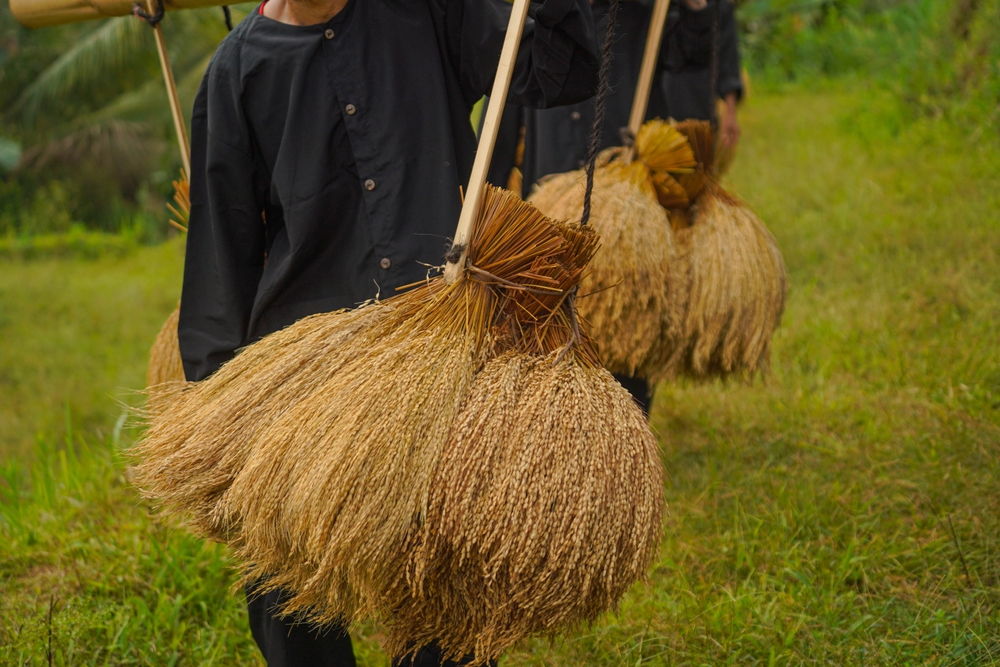 hero image for travel ideas detail