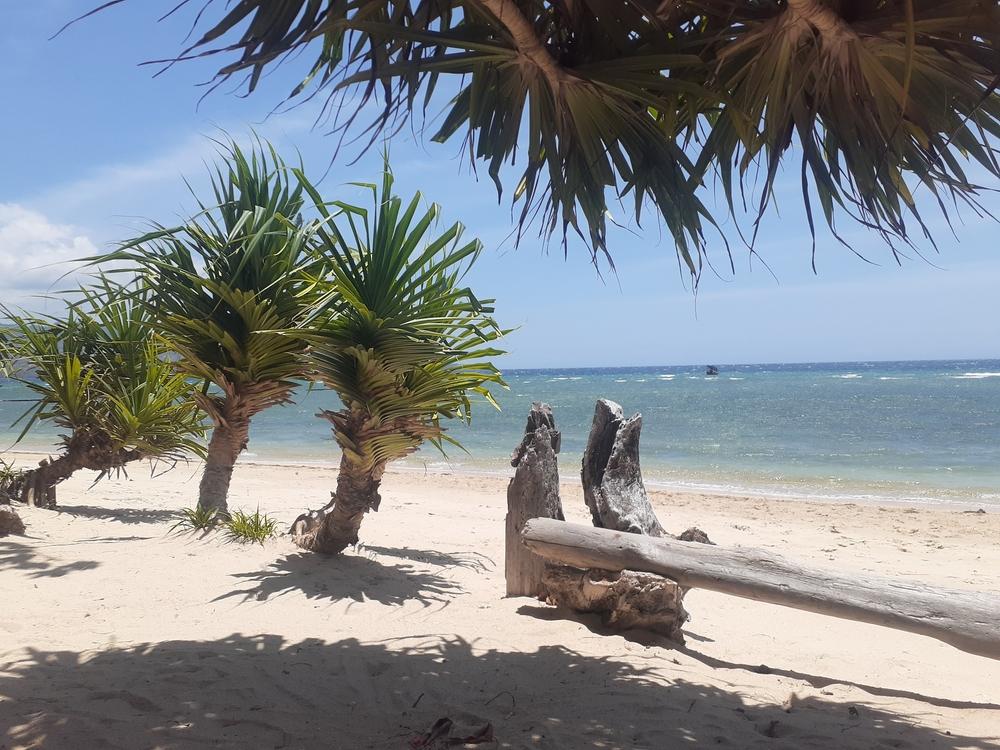 Pantai Sire
