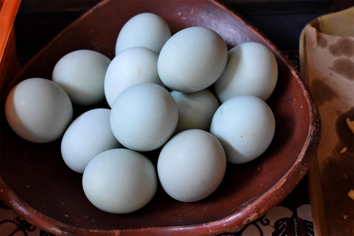 hero image for travel ideas detail