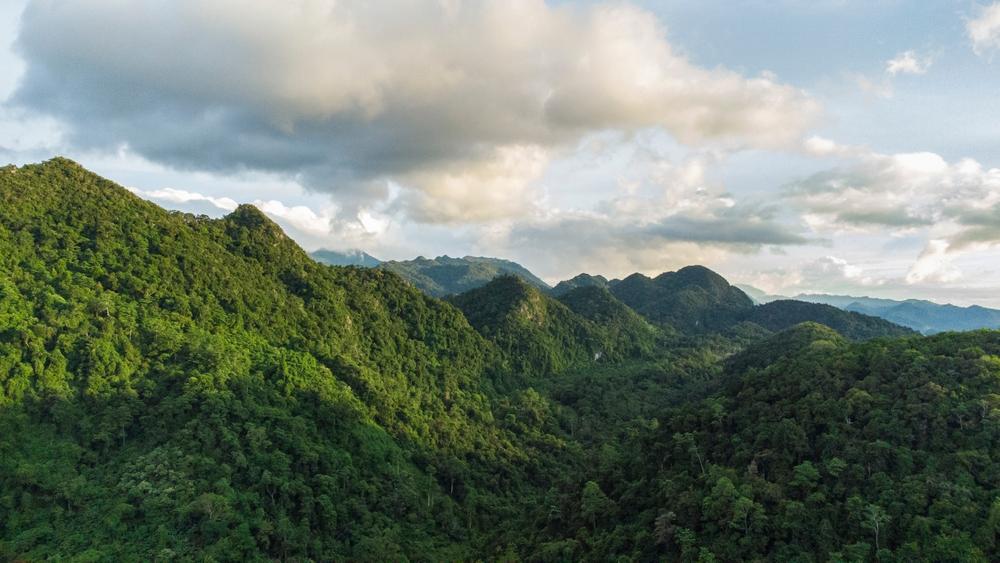 Taman Hutan Raya Bukit Barisan