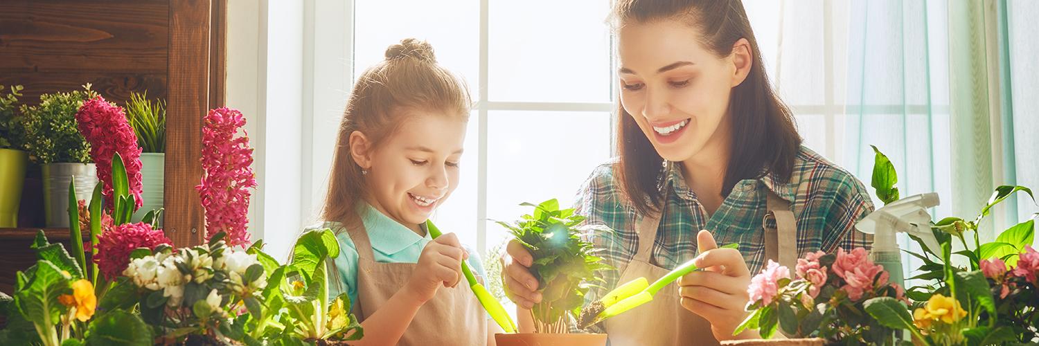 hero image for travel ideas detail