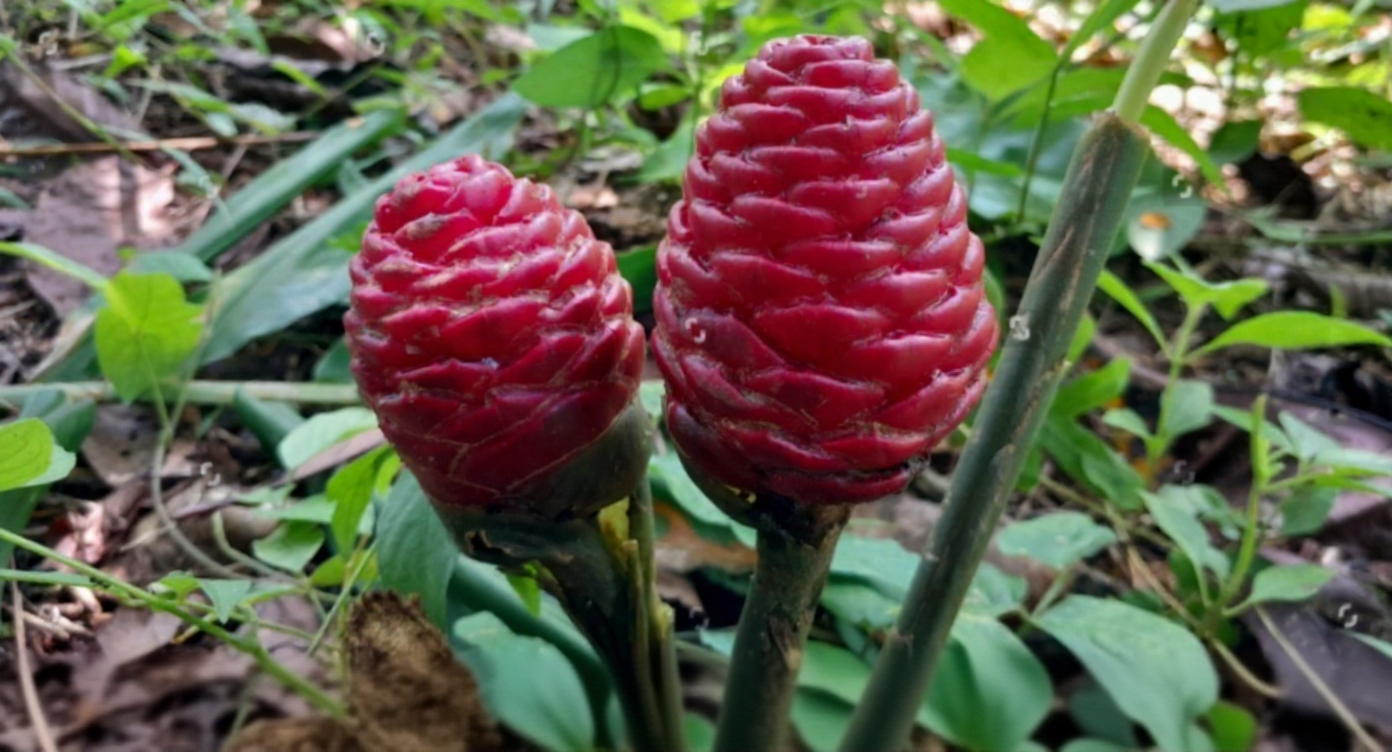 hero image for travel ideas detail