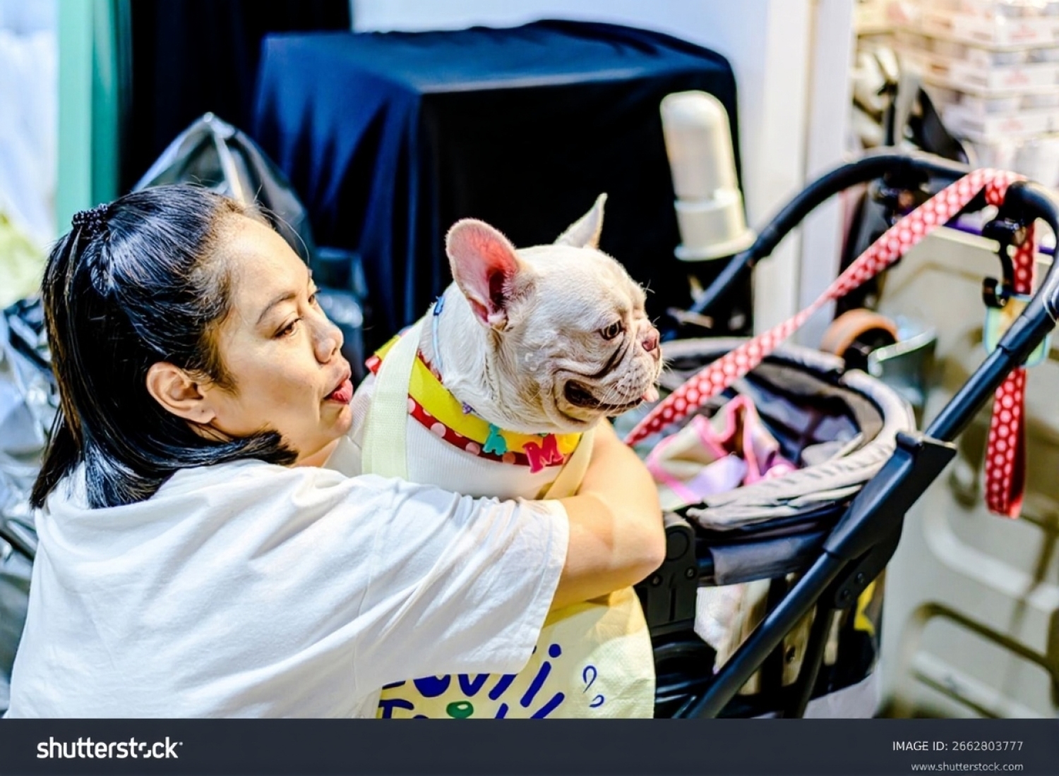 JPE 2025: Pameran Hewan Peliharaan Terbesar di Indonesia