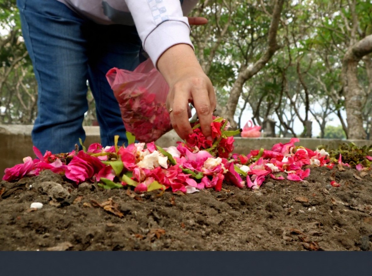 hero image for travel ideas detail