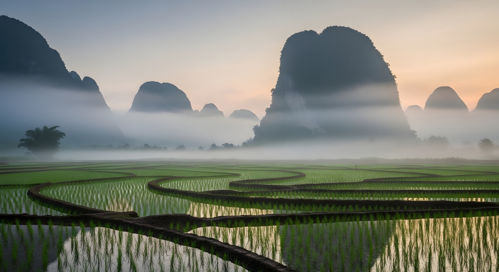 Maulid Jolloro Rammang - Rammang