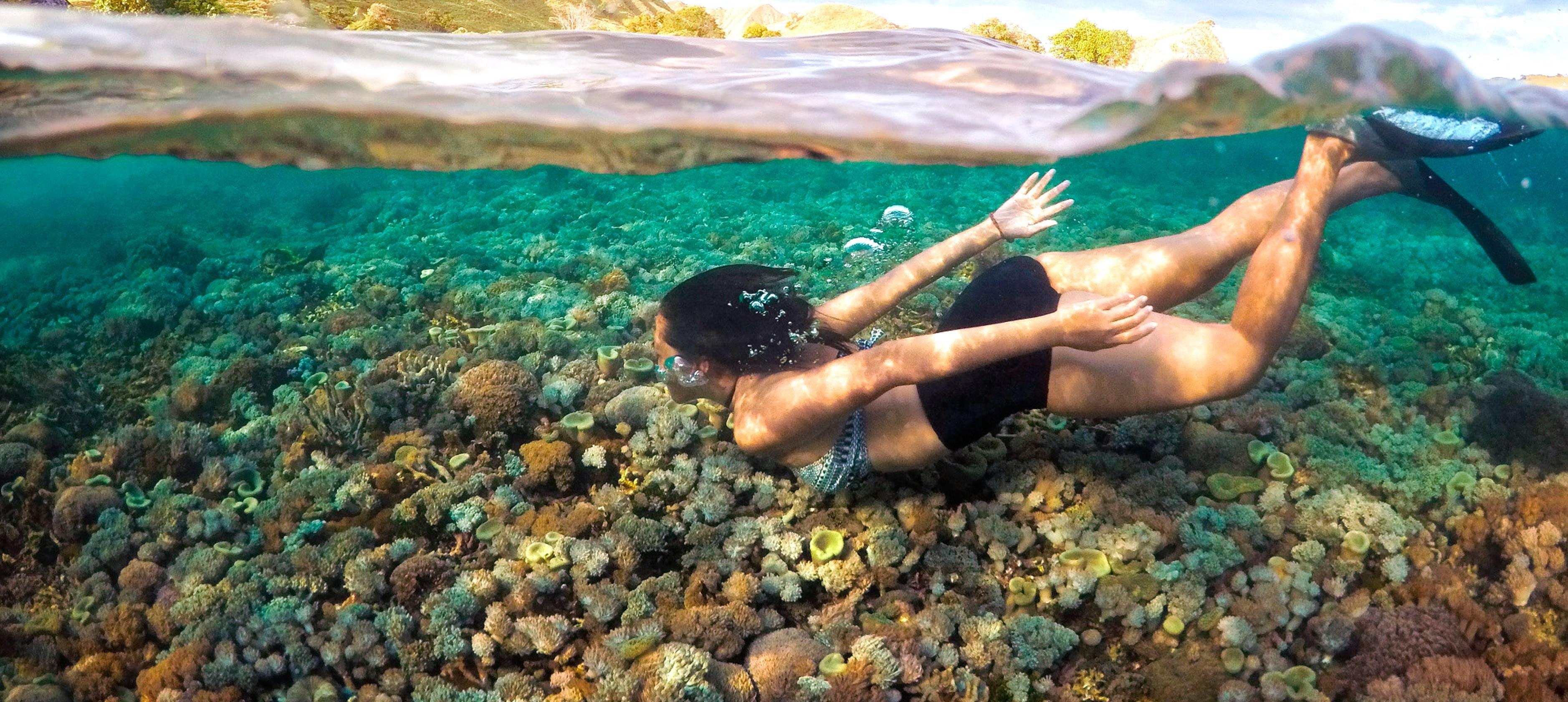 hero image for travel ideas detail