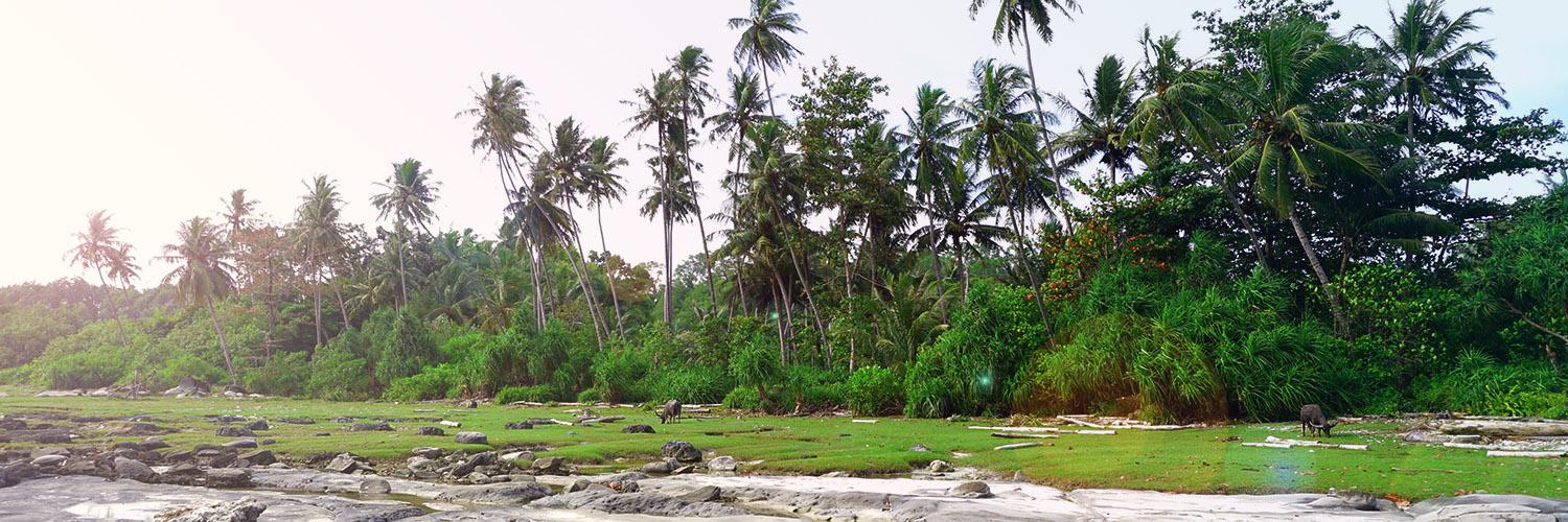 hero image for travel ideas detail