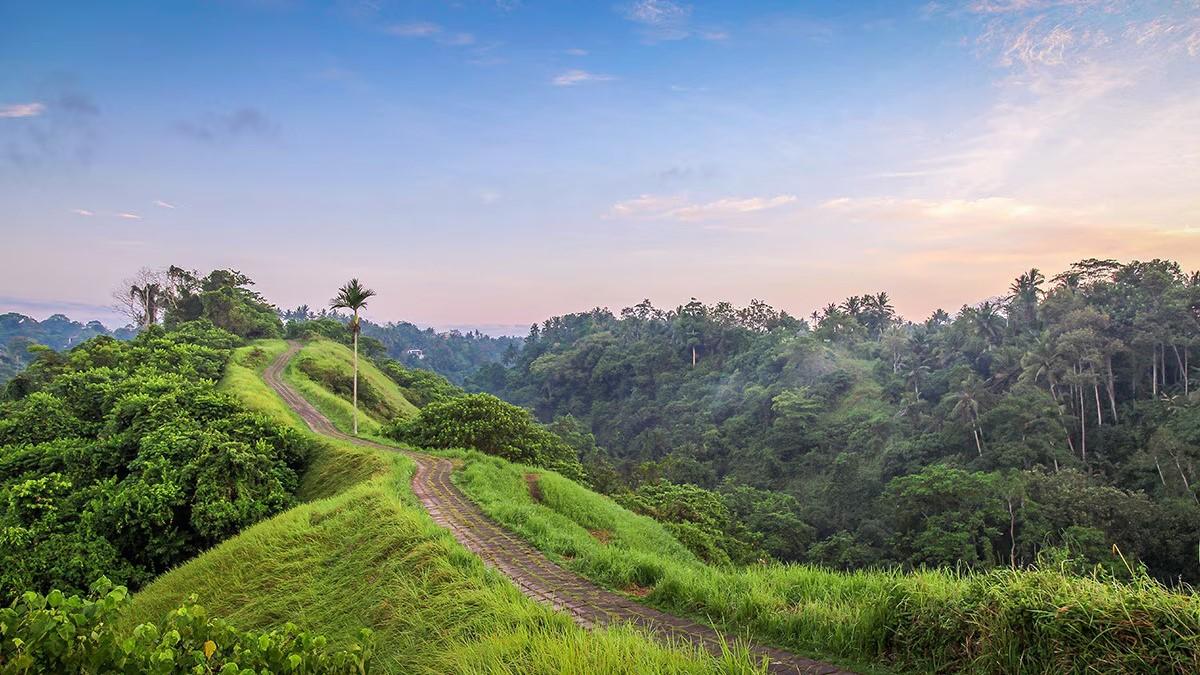 hero image for travel ideas detail