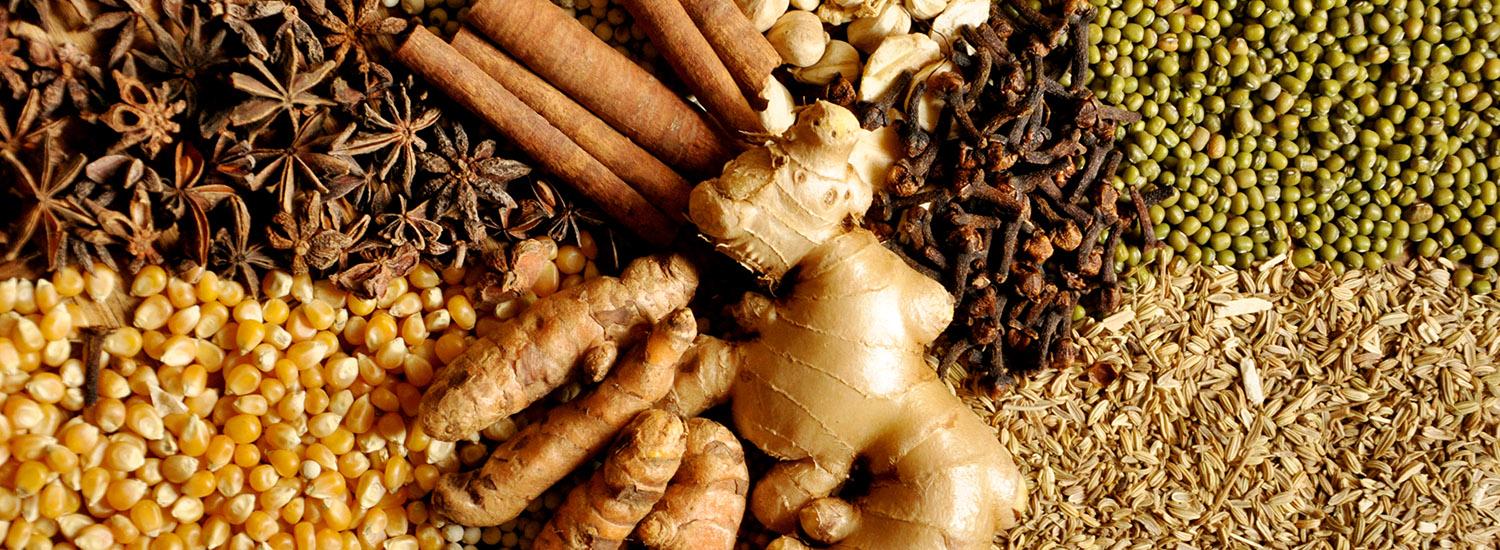 hero image for travel ideas detail