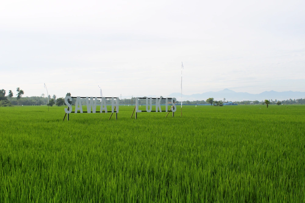 7 Tempat Wisata di Binjai yang Lagi Hits dan Wajib Dikunjungi