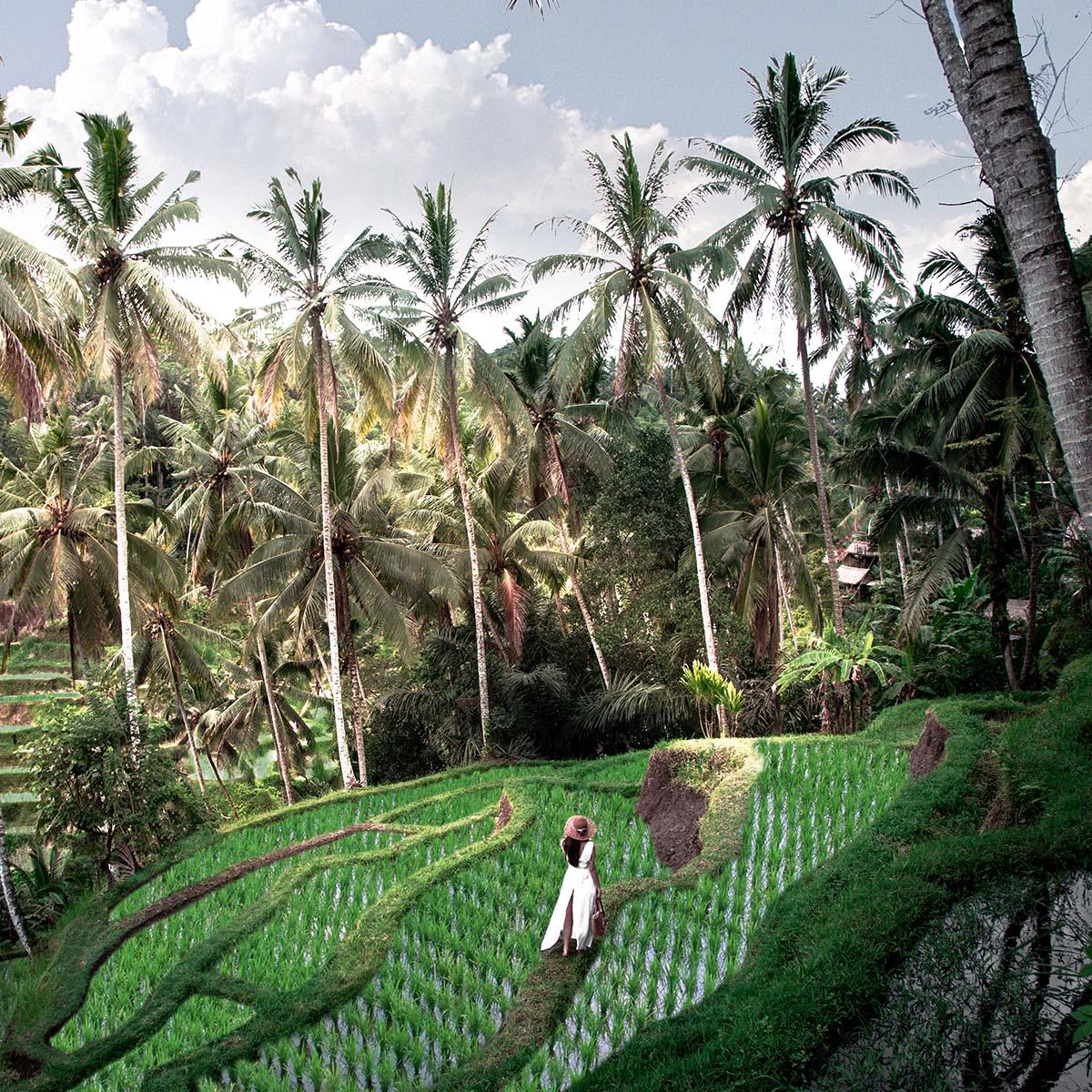 十大旅行創意，嚟印尼跨年！