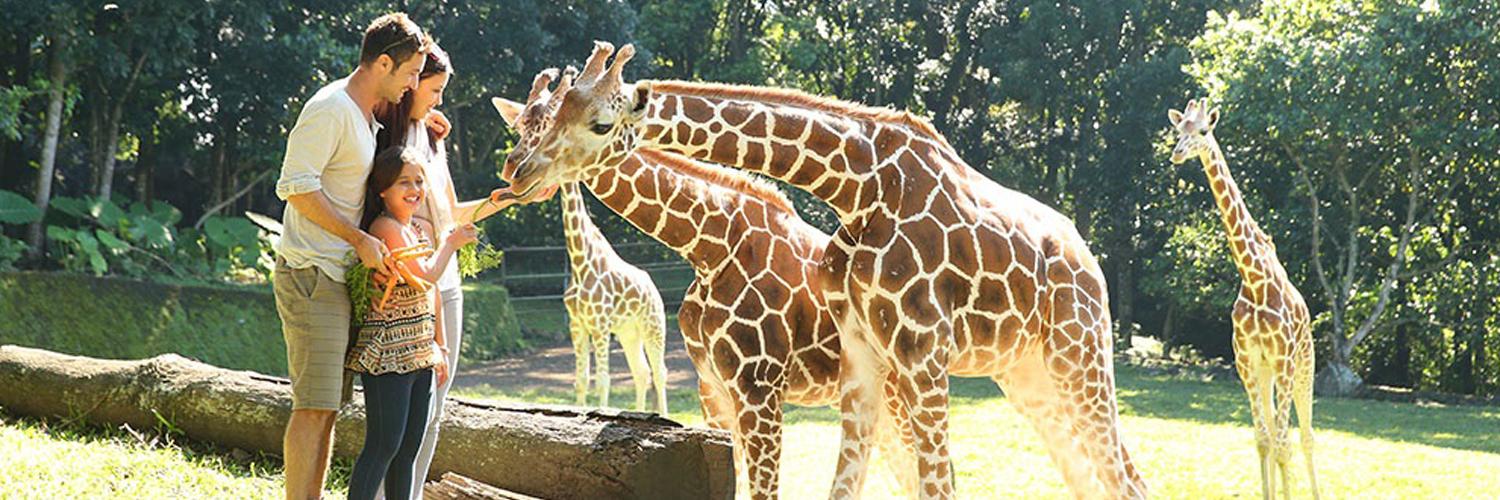 hero image for travel ideas detail