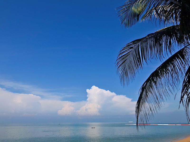 Pantai Pohon Cinta
