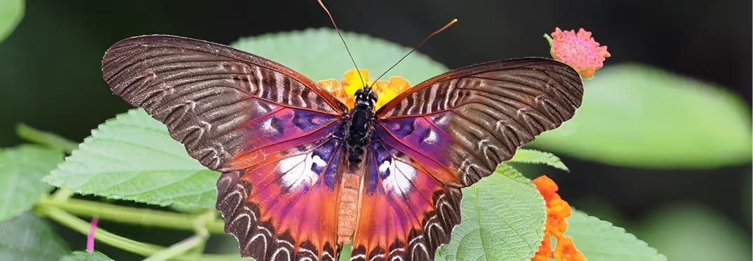 hero image for travel ideas detail