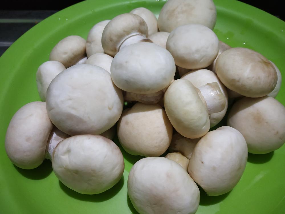 hero image for travel ideas detail