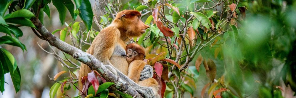 hero image for travel ideas detail