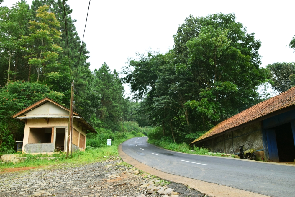 Mupunjung Bojong Loa