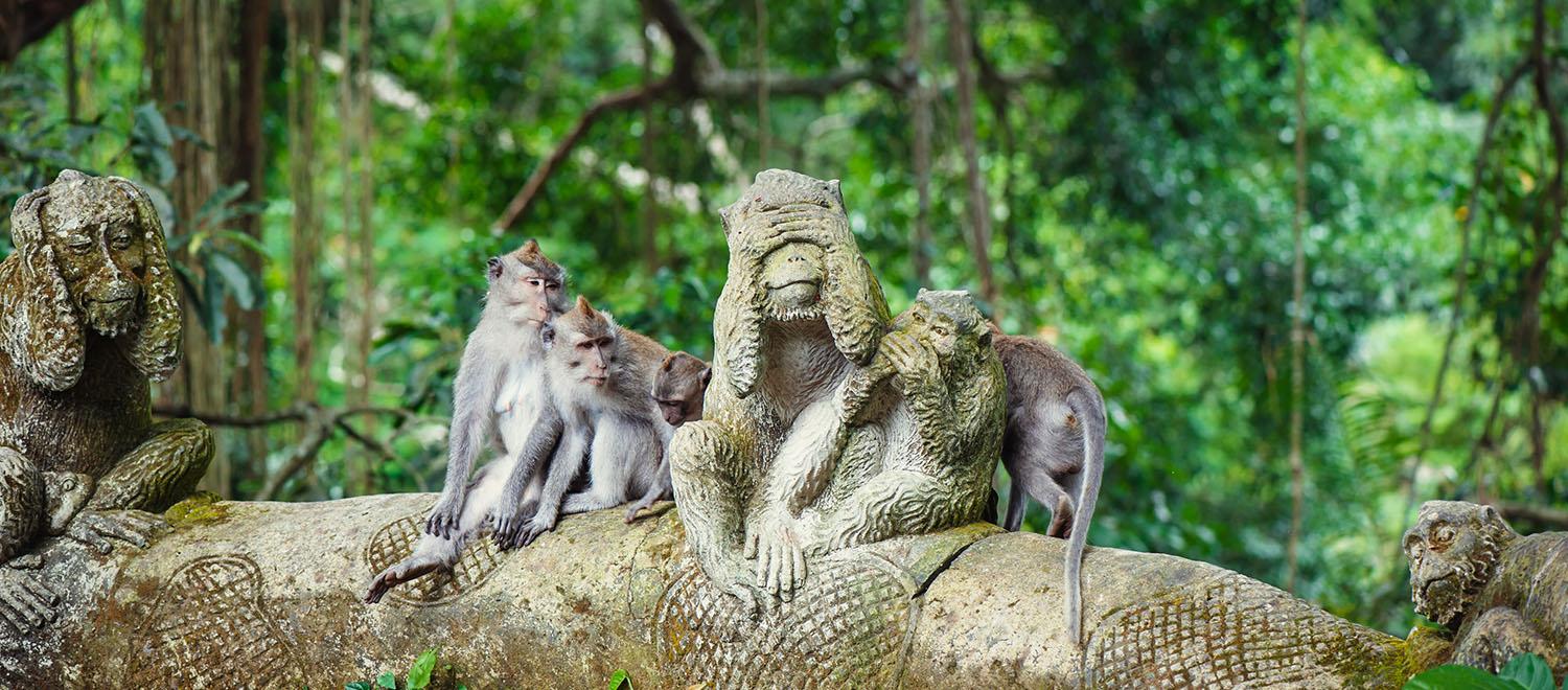 hero image for travel ideas detail