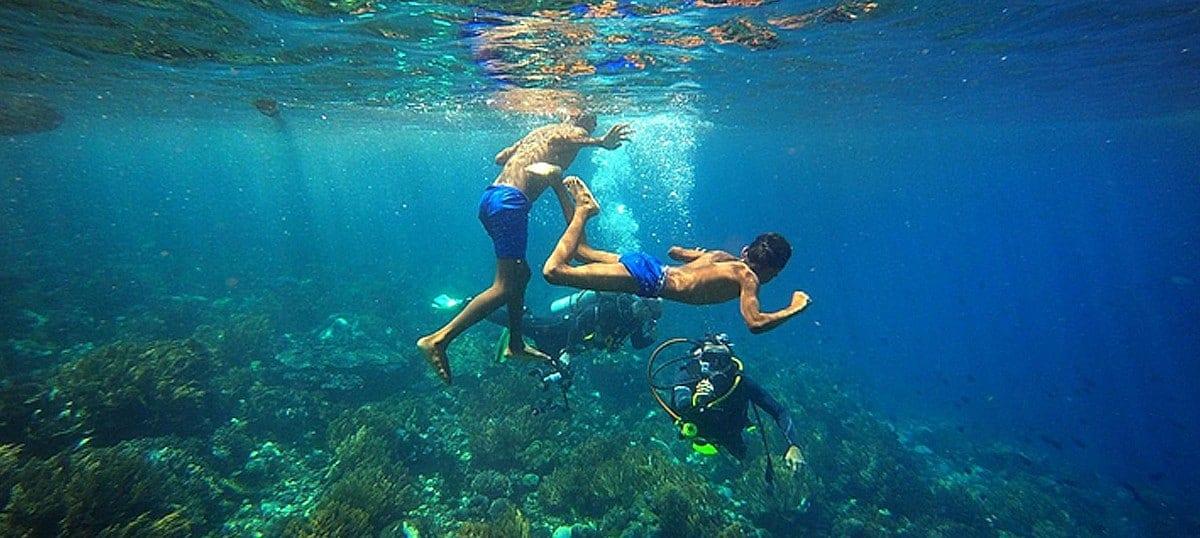 Dive Alor's 5 Superb Pristine Dive Spots in East Nusatenggara