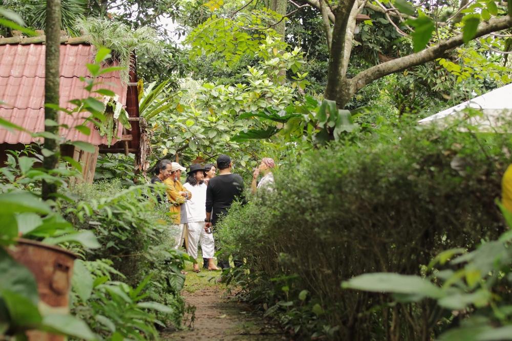 Hutan Taman Kota Palu: Ruang Hijau di Tengah Kota