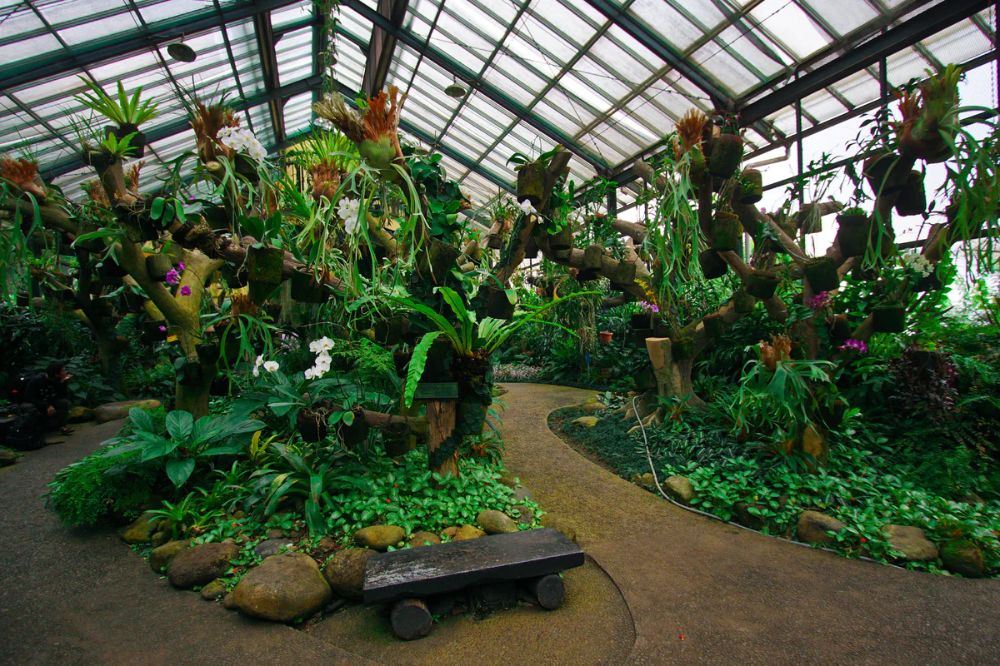 5 Ide Liburan Bertema Digital Detox, Berani Coba?