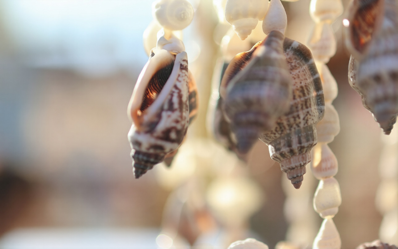 hero image for travel ideas detail