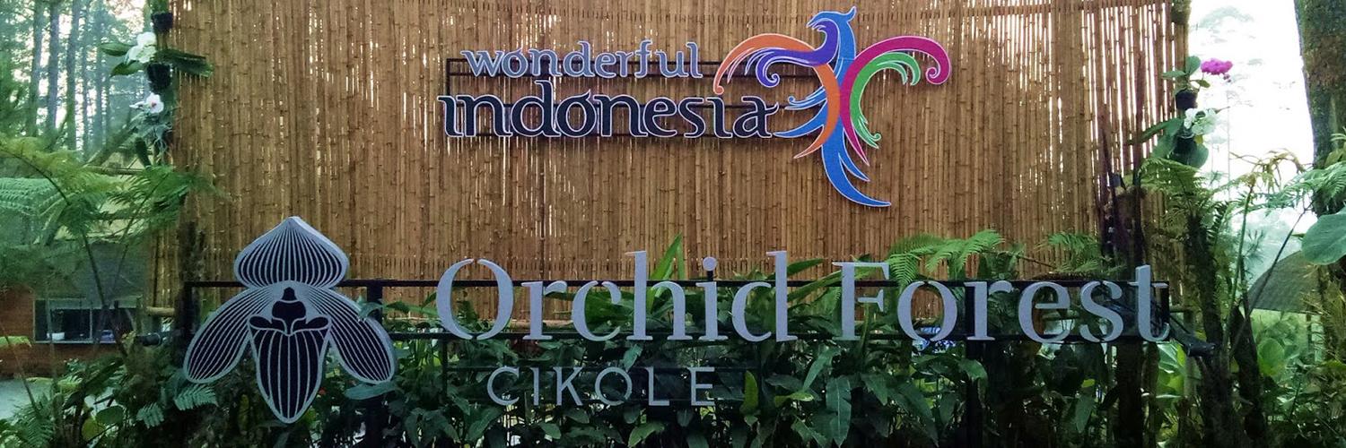 عشرة أسباب لماذا يجب عليك زيارة غابة الأوركيد شيكولي في ليمبانغ