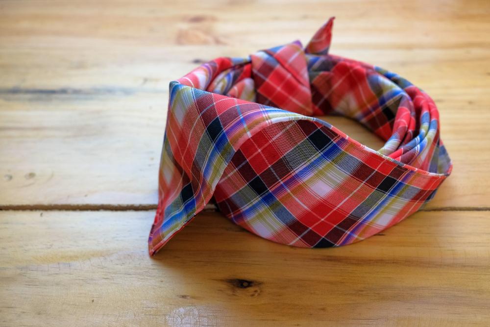 hero image for travel ideas detail