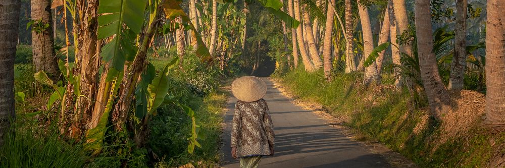 hero image for travel ideas detail