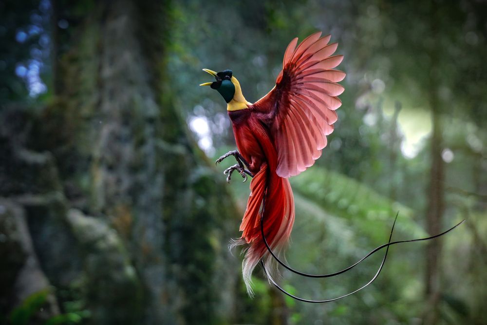 hero image for travel ideas detail