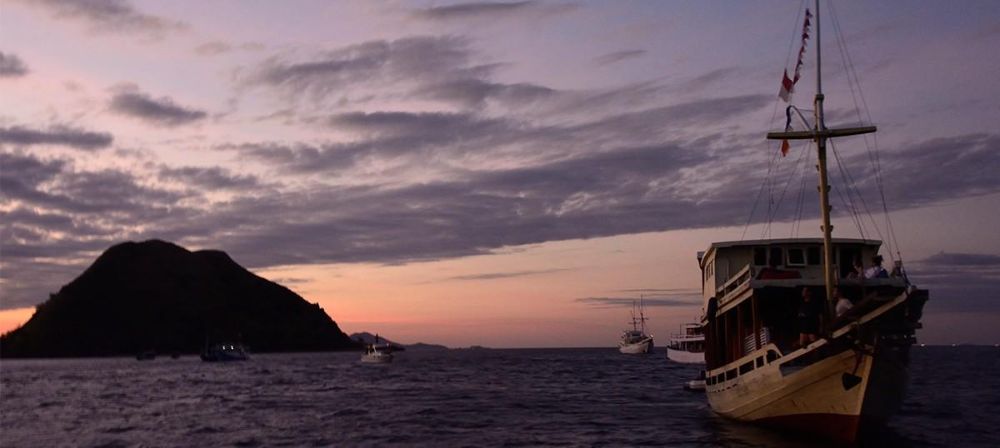 Cruising Through Paradise