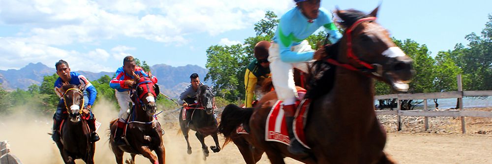 hero image for travel ideas detail