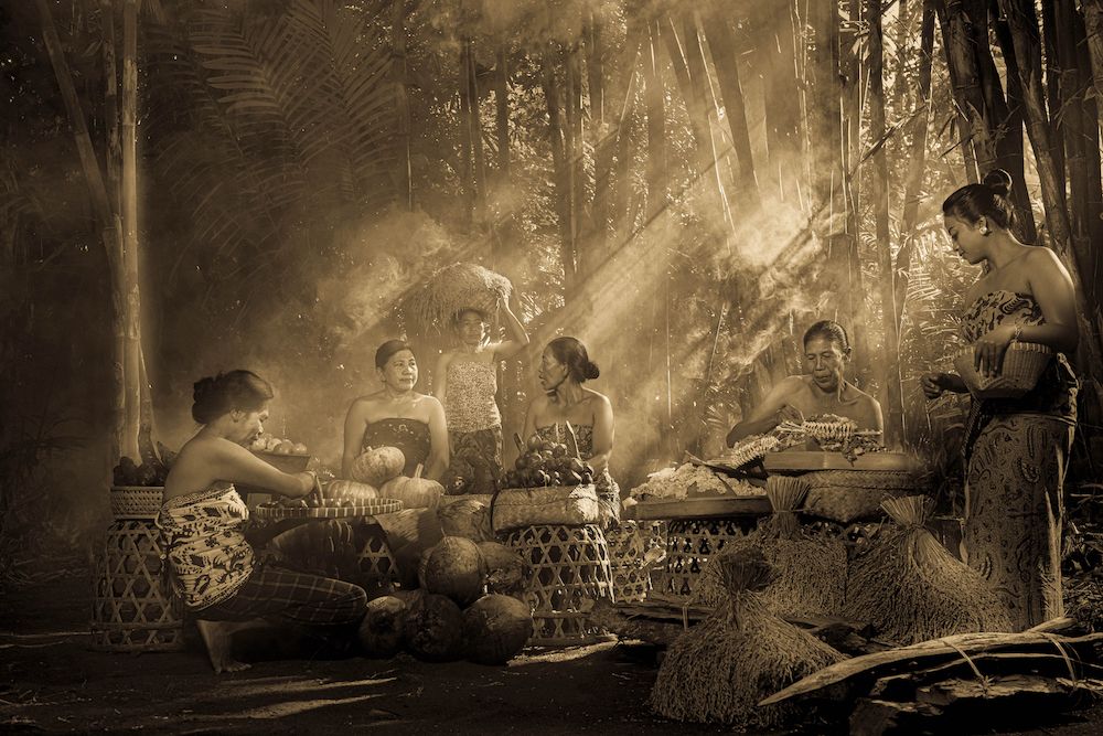 Samsara Living Museum 