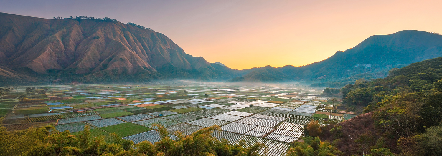 Background image for cruise banner desktop