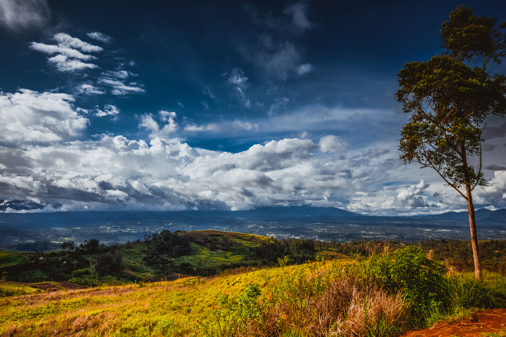 Dani Valley Language