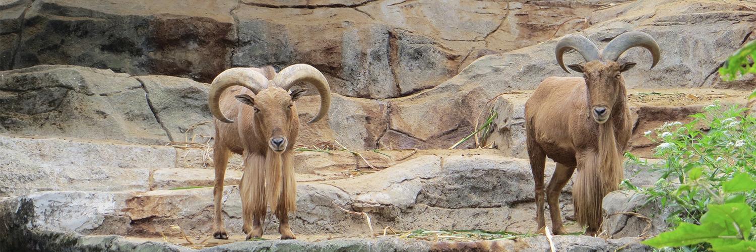 hero image for travel ideas detail