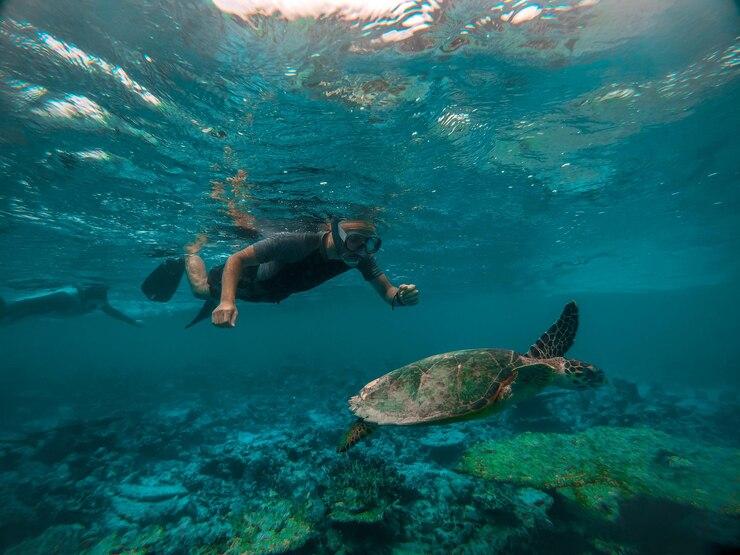 Snorkeling Banda Islands