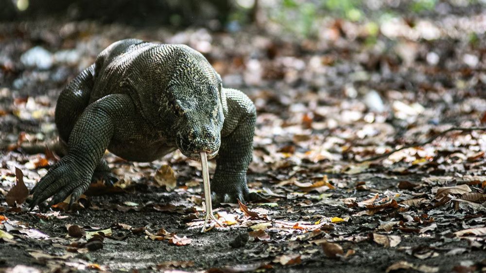 hero image for travel ideas detail