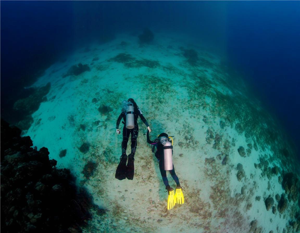 Diving Selayar Island