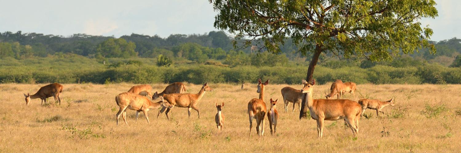 hero image for travel ideas detail