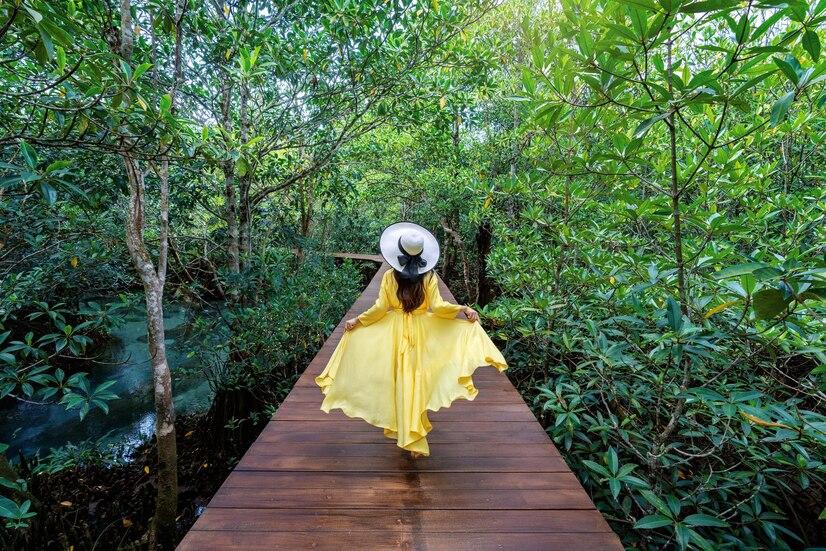 Taman Wisata Mangrove Klawalu