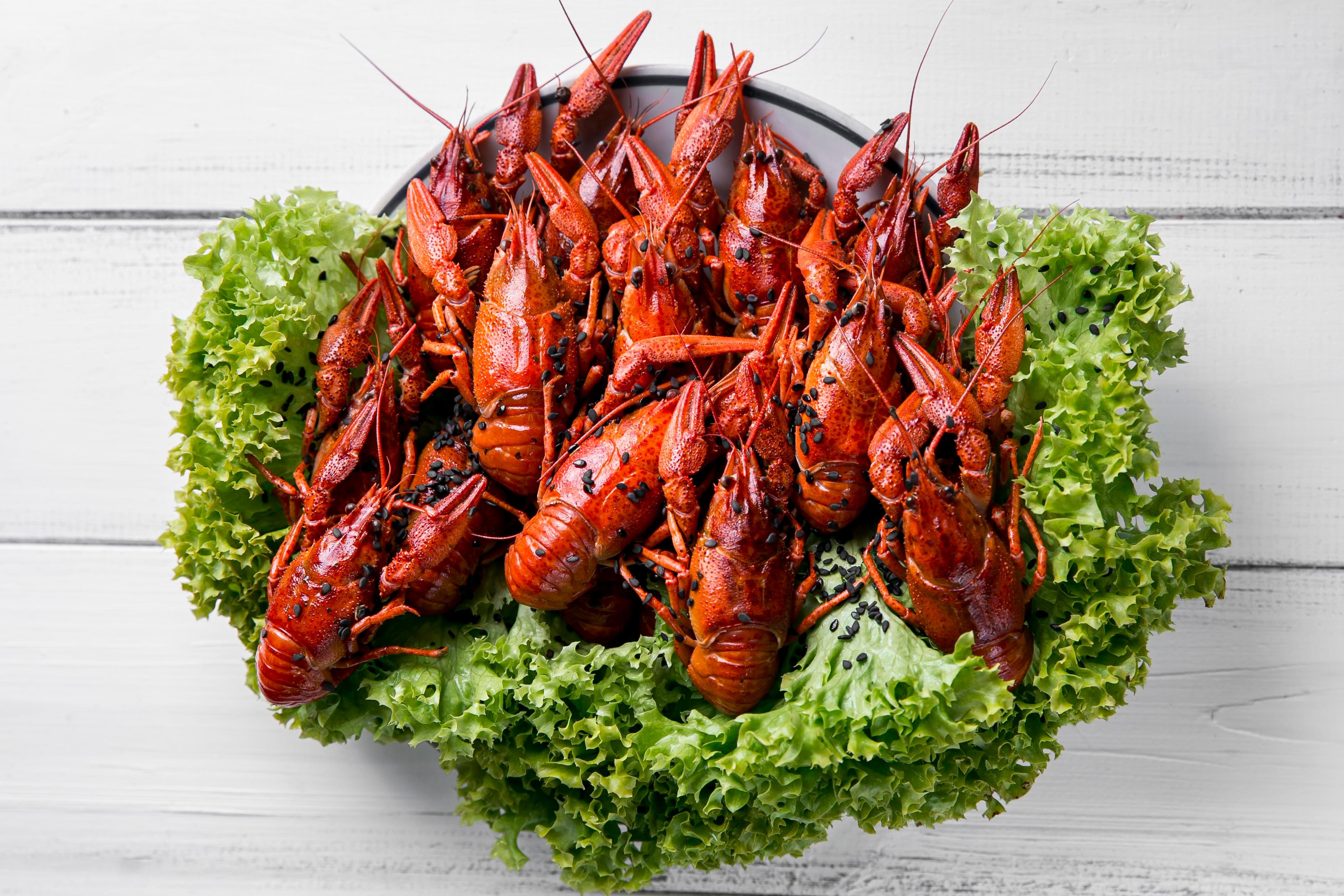 hero image for travel ideas detail