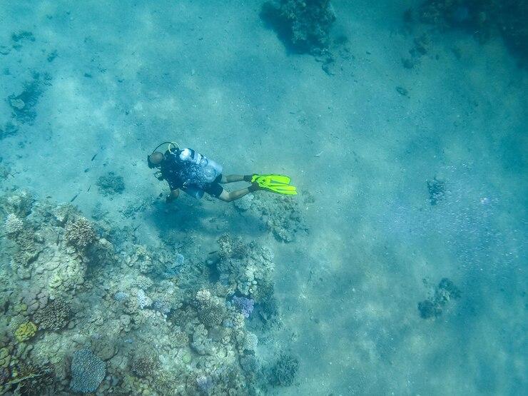 Diving Togean