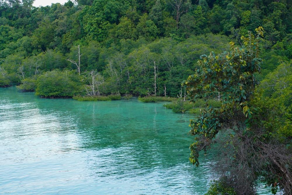Teluk Sulaiman