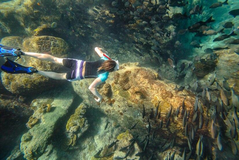 Snorkeling Ambon Bay