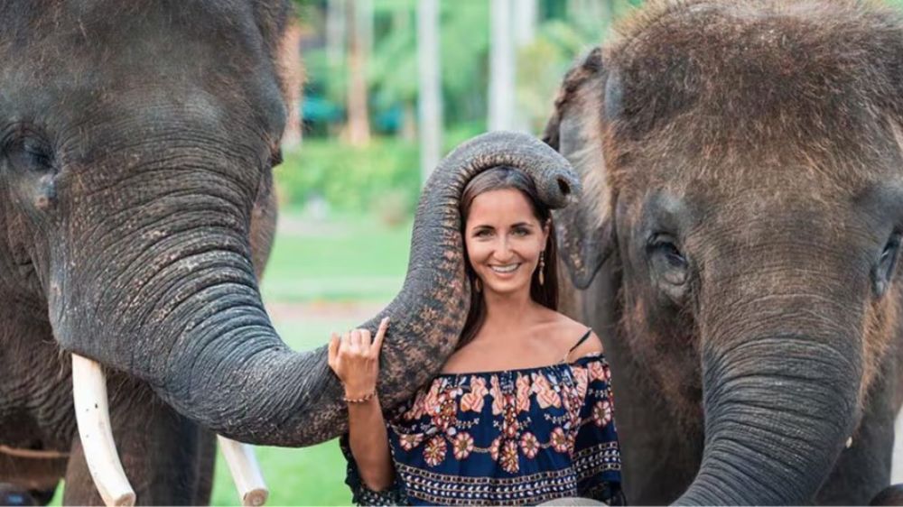 hero image for travel ideas detail