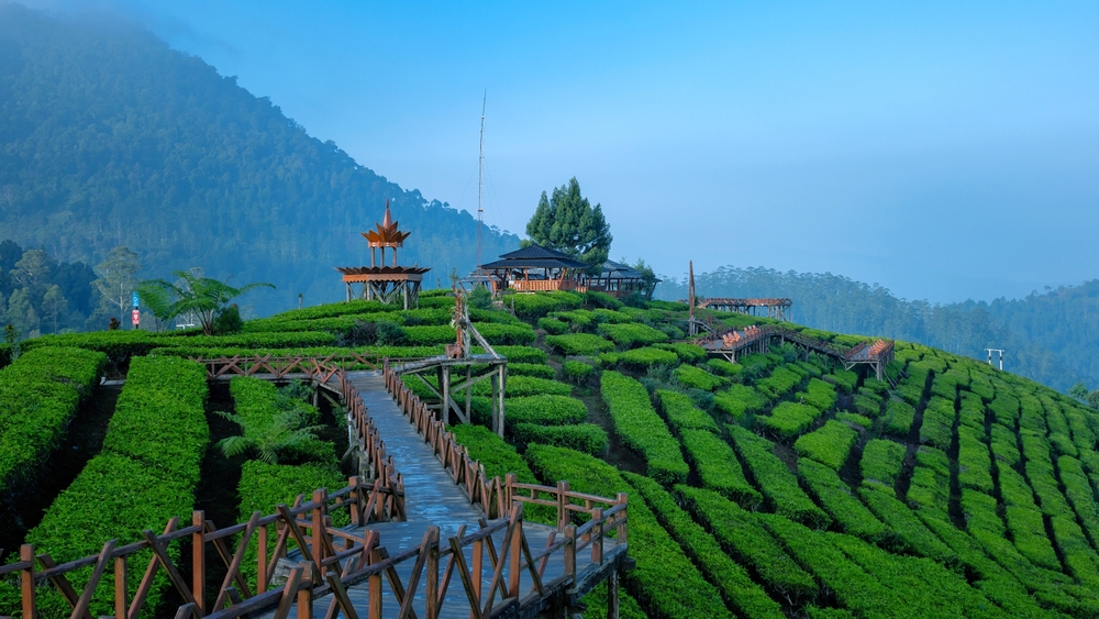 Wayang Windu Panenjoan: Sea of Clouds in South Bandung