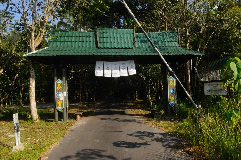 Arboretum Nyaru Menteng: Kawasan Hutan Rawa di Palangka Raya